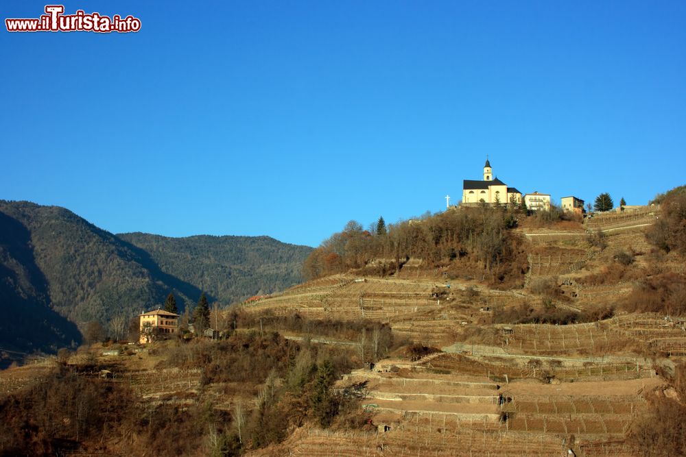 Immagine Vigneti ed una chiesa a Segonzano in Trentino Alto Adige.