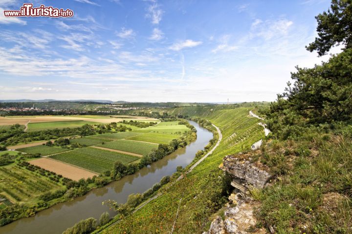 Immagine Vigneti lungo il fiume Neckar a Hessingheim, Germania - © S. Kuelcue / Shutterstock.com