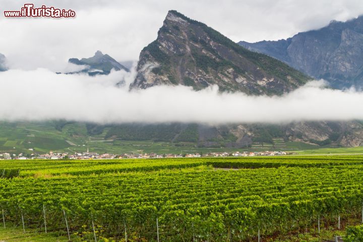 Immagine A caratterizzare la valle del Rodano fra Sion e Martigny sono distese di vigneti che accompagnano alla scoperta di un divertente quanto frizzante tour in terra svizzera. Perchè oltre al formaggio e alla cioccolata, questo paese alpino nato con l'alleanza di tre cantoni che nel 1291 rinnovarono il patto eterno confederale, produce anche alcuni dei migliori vini al mondo - © Milosz_M / Shutterstock.com