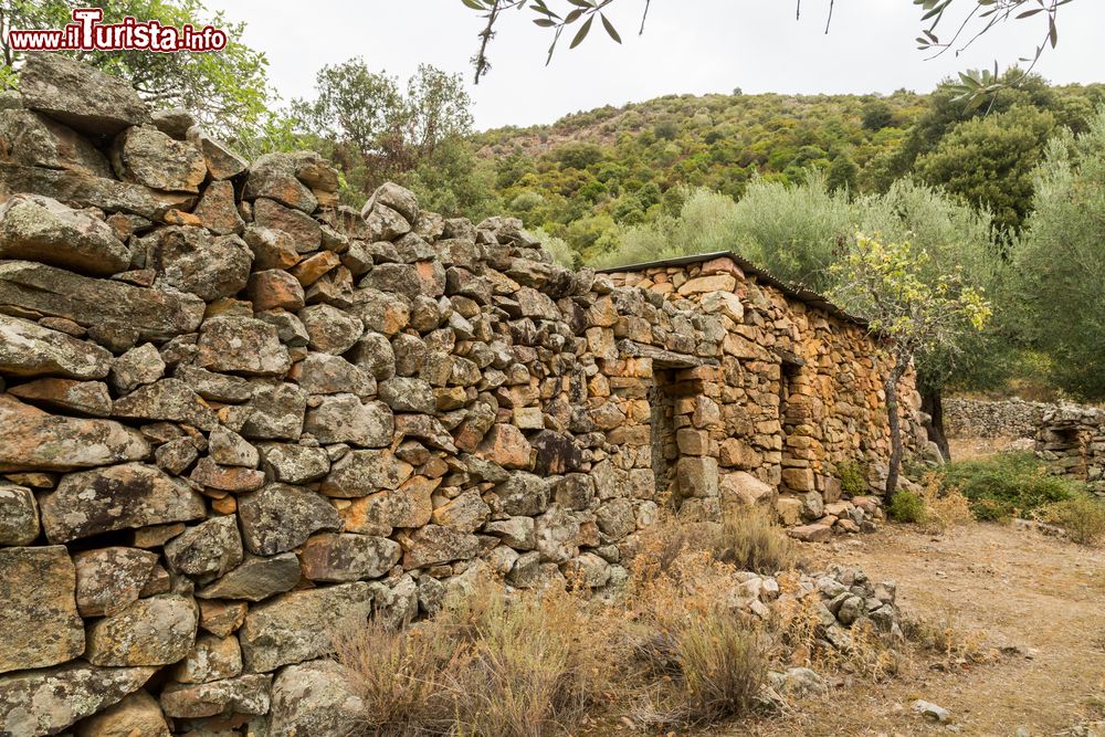 Immagine Il Villaggio di Tuvarelli  non lontano da Galeria in Corsica, lungo la Valle del Fiume Fango