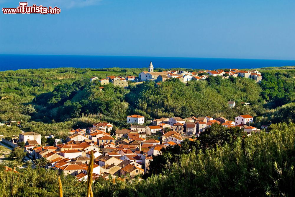 Immagine Susak è un’isola della Croazia conosciuta nell’Adriatico per la particolarissima morfologia: è infatti una rarità considerando la sua conformazione definita da substrati calcarei misti a sabbia e cumuli estesissimi di frammenti di conchiglie che derivano sul mare, profondo solo in alcuni tratti. Una variegata costa propone baie sabbiose, calette rocciose e segmenti ciottolati, per questo motivo Susak è divenuta una meta molto ambita a livello turistico e assolutamente accessibile a ogni tasca. Il mare rappresenta solo una delle tante risorse, un’altra che richiama avventori corrisponde al vino su cui si basa buona parte dell’economia: assai apprezzati sono il rosato Trojiscina e il rosso Pleskunac, evinti da vigneti coltivati a terrazze in coabitazione con alberi di fichi