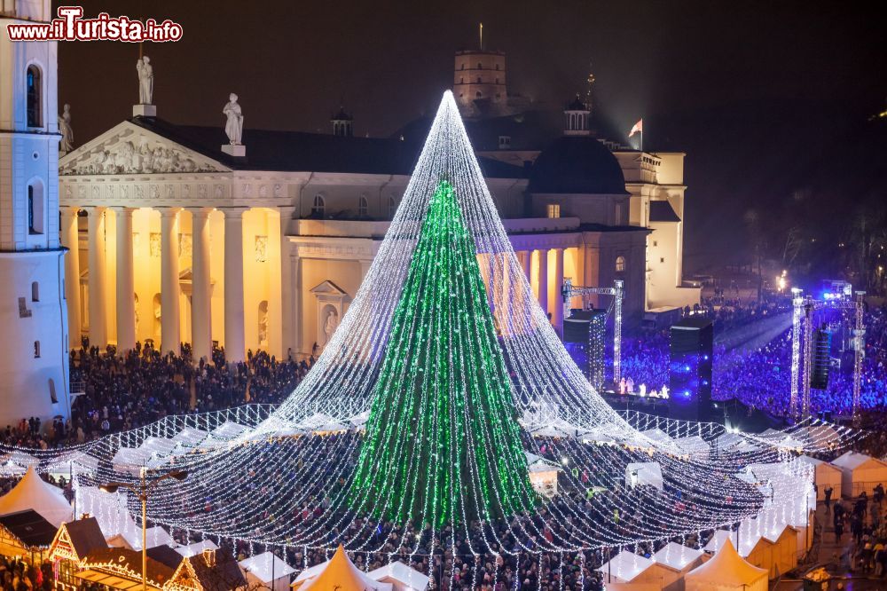 Immagine Vilnius (Lituania): l'Albero di Natale nella Piazza della Cattedrale - © www.vilniustourism.lt