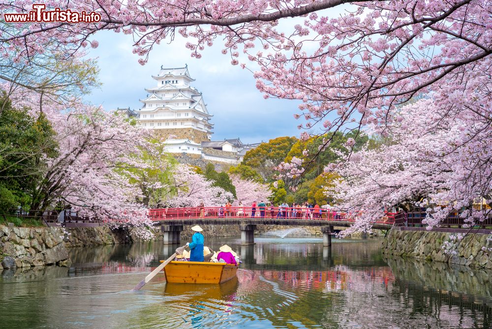 Immagine Visita al Castello di Himeji e il suo parco in primavera