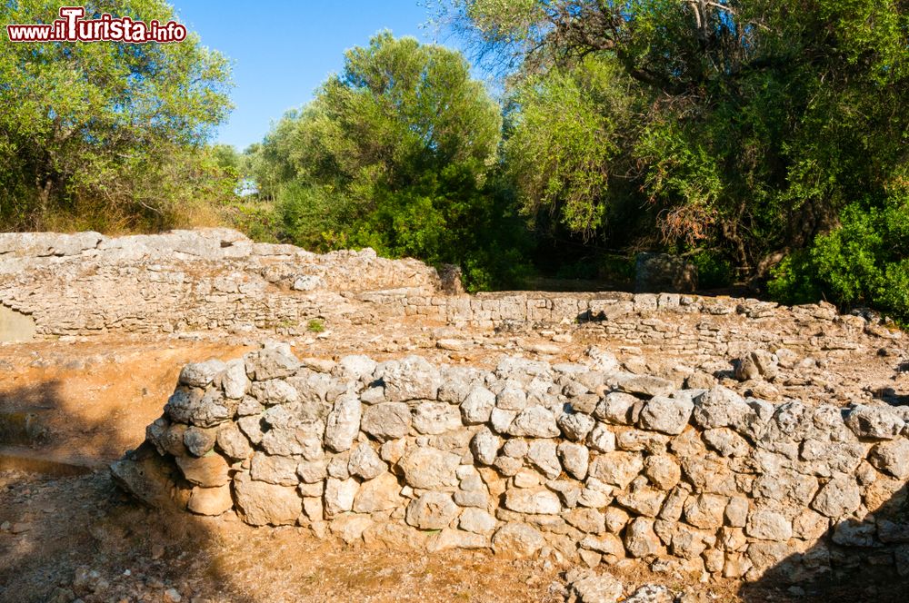 Immagine Visita al sito archeologico di Cosa in Maremma, vicino ad Ansedonia