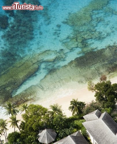 Immagine Il mare cristallino di Barbados è ideale per snorkeling ed immersioni - Fonte: Barbados Tourism Authority