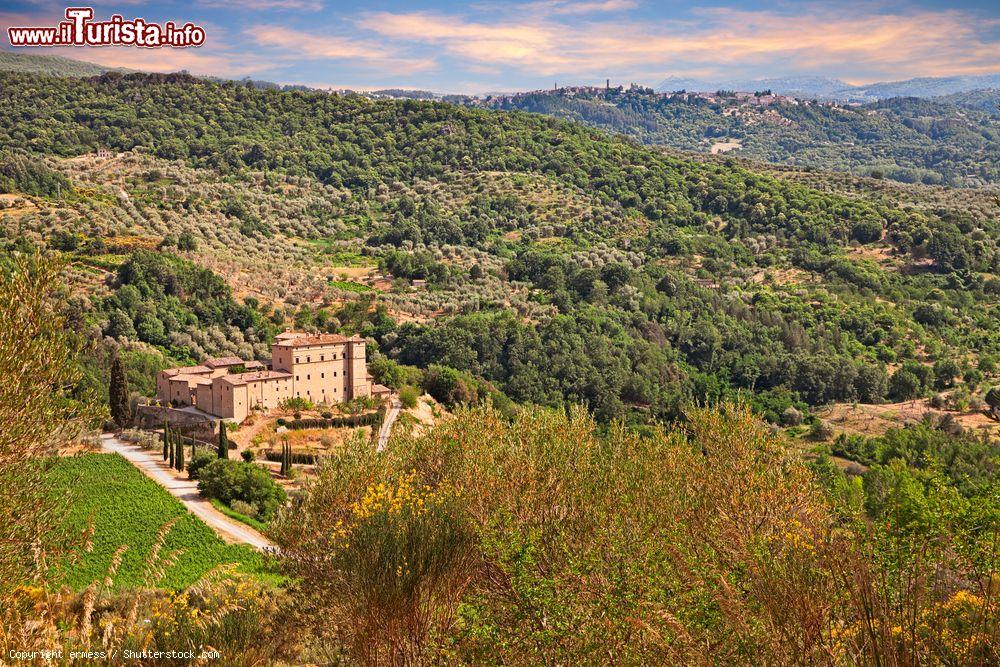 Immagine La vista da Seggiano, Grosseto: le coltivazioni degli ulivi, il Castello Potentinp e la cittadina di Castel del Piano - © ermess / Shutterstock.com