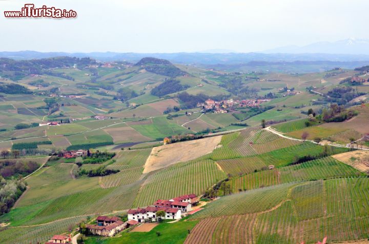 Immagine Vista dall'alto delle colline di La Morra, Cuneo, Piemonte