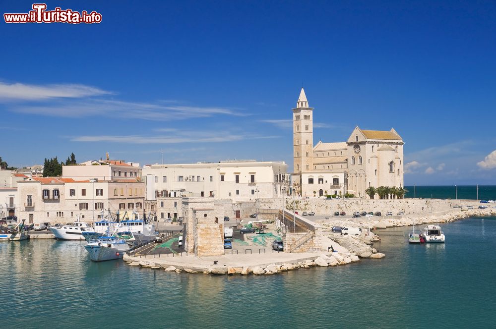 Immagine Vista dall'alto della cattedrale di Trani affacciata sul mare, Puglia.