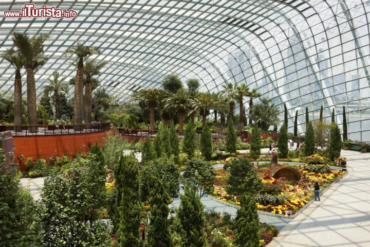 Immagine Vista dall'alto della serra Flower Dome che riproduce un clima mediterraneo secco e comprende ulivi secolari - © R.A.R. de Bruijn Holding BV / Shutterstock.com