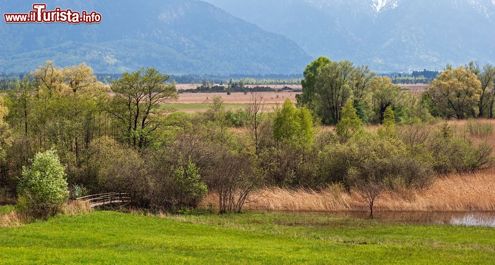 Immagine Vista del paesaggio di Murnau in primavera