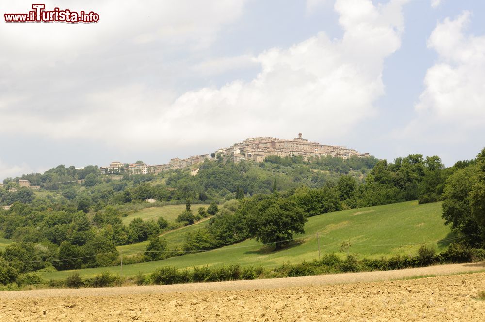 Immagine Vista panoramica del borgo di Chiusdino in estate, circondato dalla natura delle colline senesi