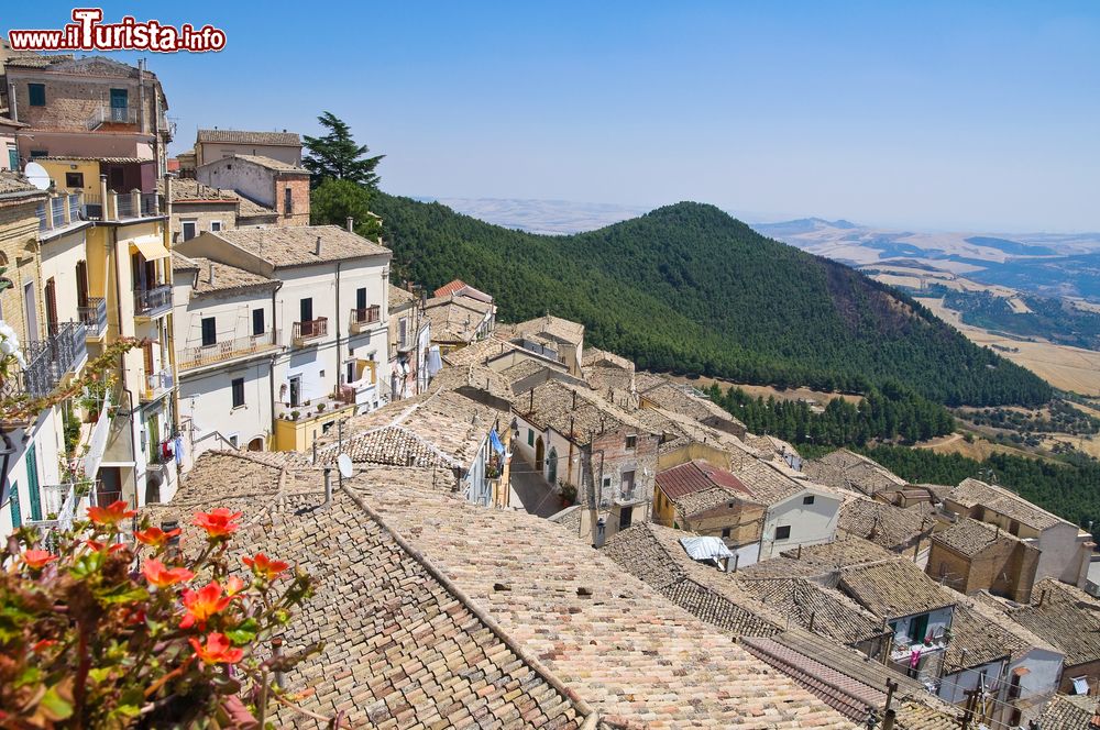 Immagine Vista panoramica del borgo di Sant'Agata di Puglia in provincia di Foggia