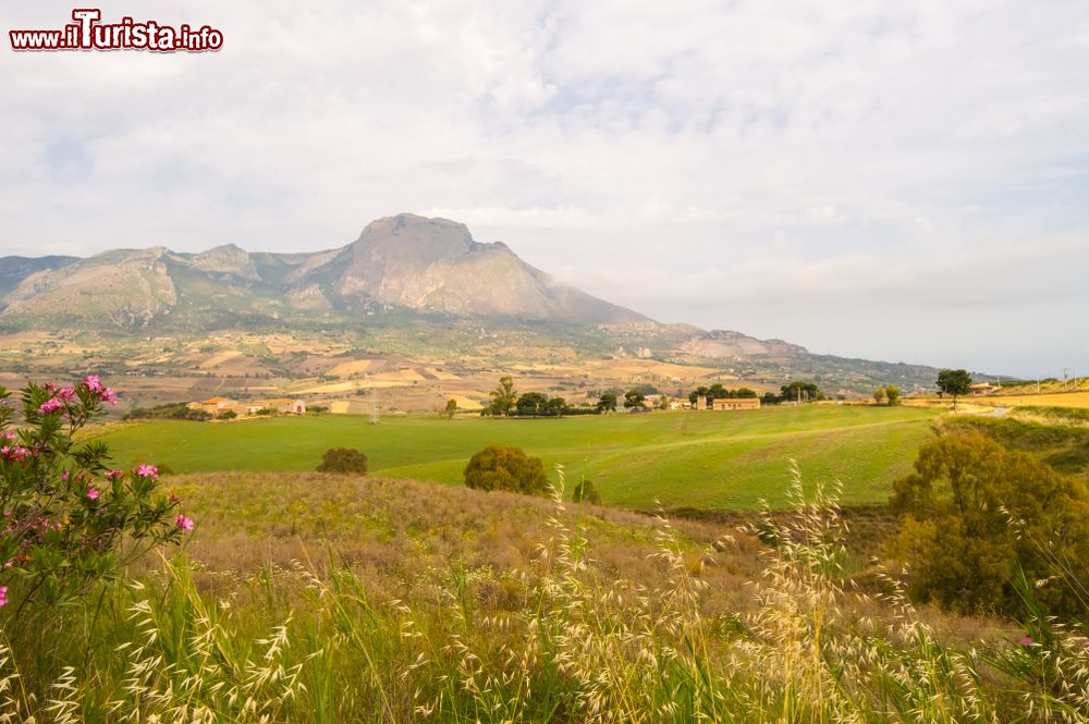 Immagine Vista sulle campagne inotrno a Cerda nel nord della Sicilia