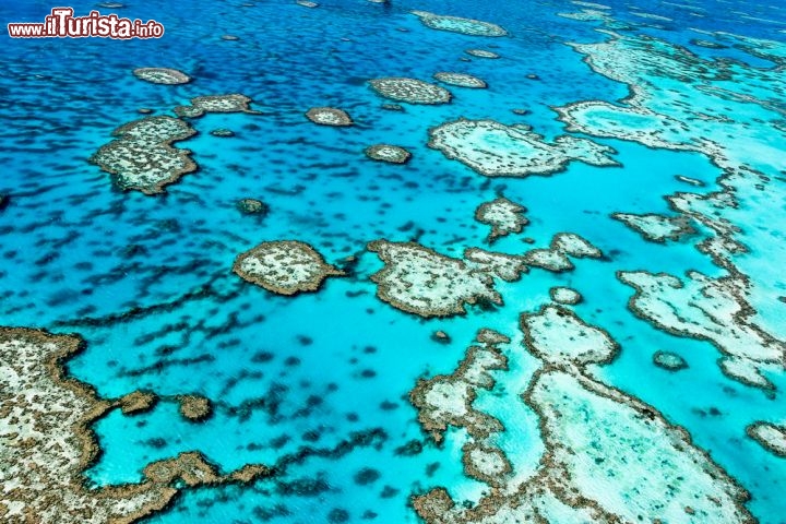 Immagine Volo sula grande barriera corallina nel Queensland con partenza da Cairns, in Australia - © Edward Haylan / Shutterstock.com