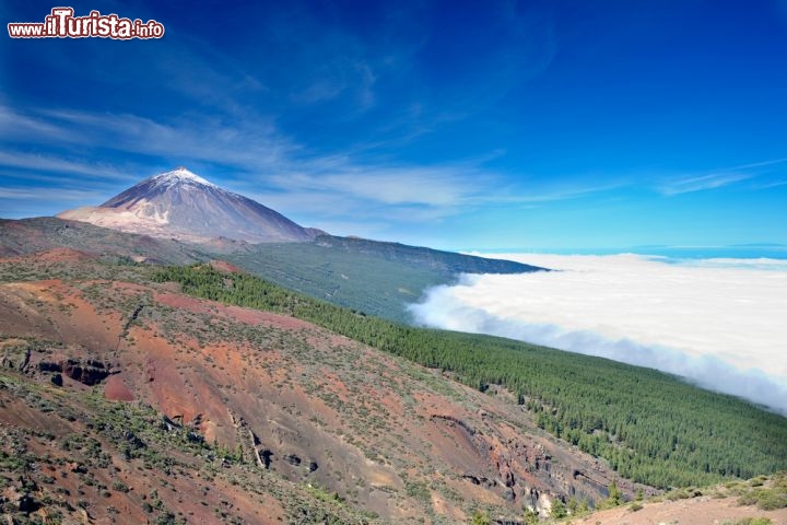 Le foto di cosa vedere e visitare a Tenerife