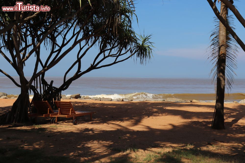 Immagine Waikkal è una località della costa ovest dello Sri Lanka, circa 10 km a nord di Negombo. Qui si trovano grandi spiagge selvagge.