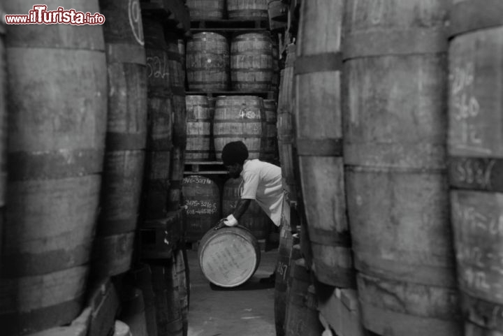 Immagine Warehouse Rum  Barbados. Una delle ricchezze dell'isola è la produzione di Rum che si ottiene dalla melassa della canna da zucchero - Fonte: Barbados Tourism Authority