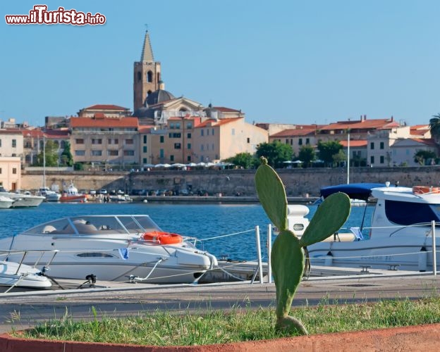 Immagine La Baia di Alghero in provincia di Sassari, Sardegna: il porto turistico che collega la città alle Grotte di Nettuno, il lungomare, le prime case e il campanile della Cattedrale di Santa Maria  - © Gabriele Maltinti / Shutterstock.com