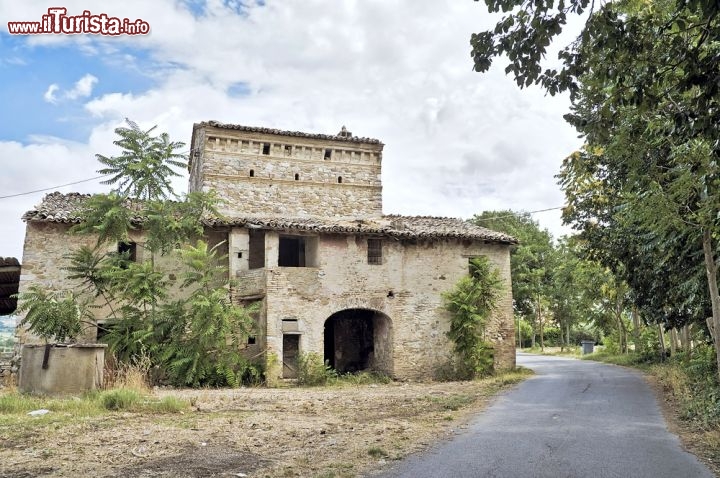 Immagine Una fattoria nelle campagne di Assisi. Inserita nel 2000 nell'elenco del patrimonio dell'Unesco, Asissi costituisce un modello unico di continuità storica di una città con il suo paesaggio culturale e l'insieme del suo sistema territoriale. Oltre ad essere uno dei luoghi più importanti a livello religoso, Assisi e l'area che si estende fin quasi a Perugia offre una serie di attrattive naturalistiche, storiche e enogastronomiche - © Mi.Ti. / Shutterstock.com