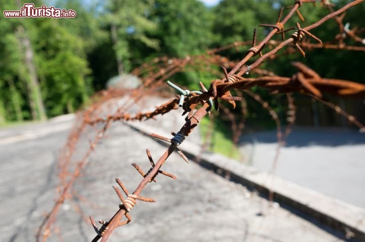 Immagine Un filo spinato arrugginito, lungo la storica Linea Maginot presso la località di Ouvrage Schoenenbourg in in Alsazia, nell'est della Francia - © HUANG Zheng / Shutterstock.com