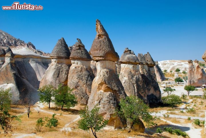 Immagine I camini delle fate a Goreme in Cappadocia, le splendide formazioni rocciose della Turchia continentale - © Svetlana Tikhonova / Shutterstock.com