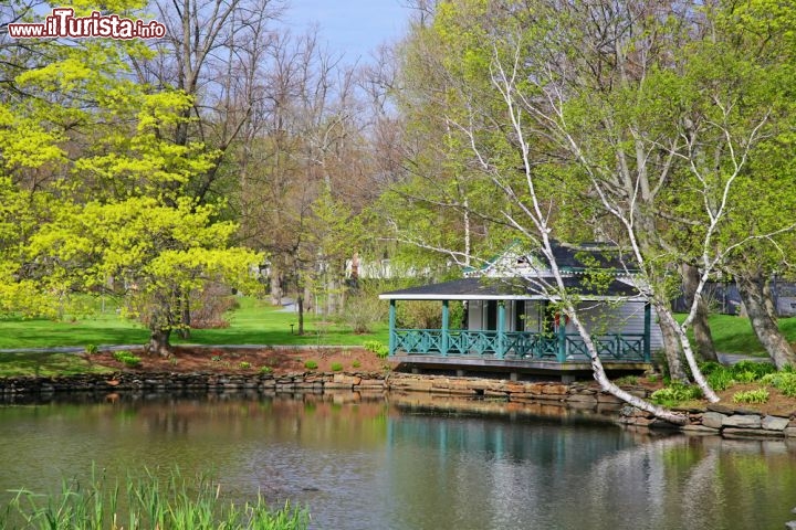 Immagine Il laghetto nei Public Gardens di Halifax, Nuova Scozia, Canada orientale. Nei giardini pubblici, tra alberi secolari, prati e aiuole in fiore, si snodano belle passeggiate e si incontrano incantevoli punti di ristoro - © V. J. Matthew / Shutterstock.com