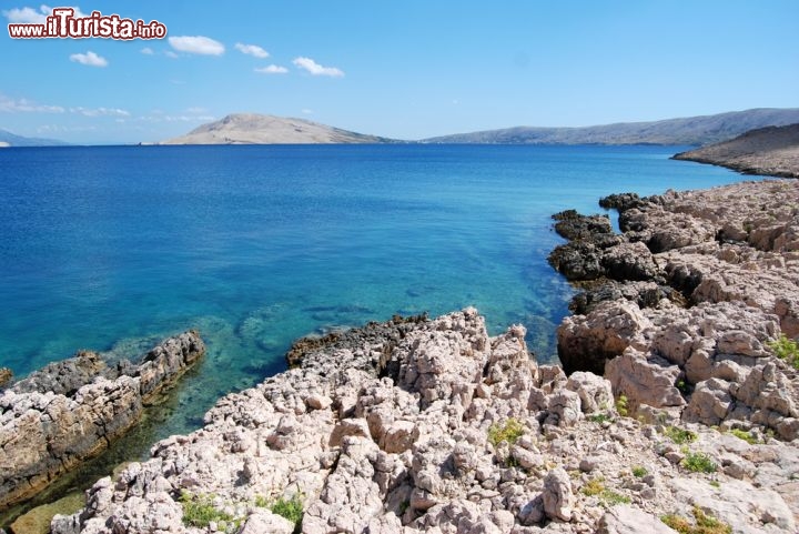 Immagine Il mare verde smeraldo di Pag in Croazia invita ad un tuffo e alle immersioni nelle varie spiagge di questa isola della costa dalmata - © Mattia Mazzucchelli / Shutterstock.com