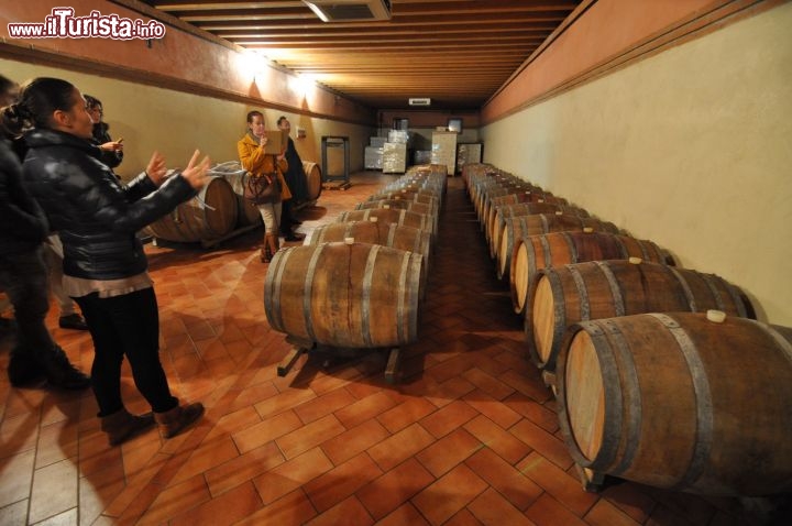 Immagine Martina Adami spiega la stagionatura dei vini rossi in botti di rovere nella Cantina Corte Adami a Soave