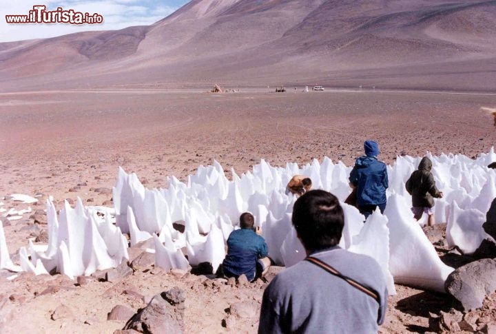 Immagine Puna de Atacama, sulle Ande nel nord dell'Argentina, escursione in alta quota - Foto di Giulio Badini I Viaggi di Maurizio Levi  www.deserti-viaggilevi.it