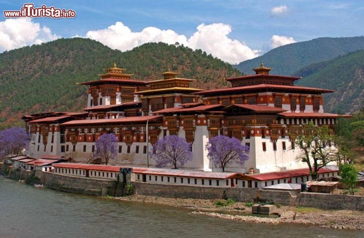 Immagine Punakha dzong Bhutan - Foto di Giulio Badini