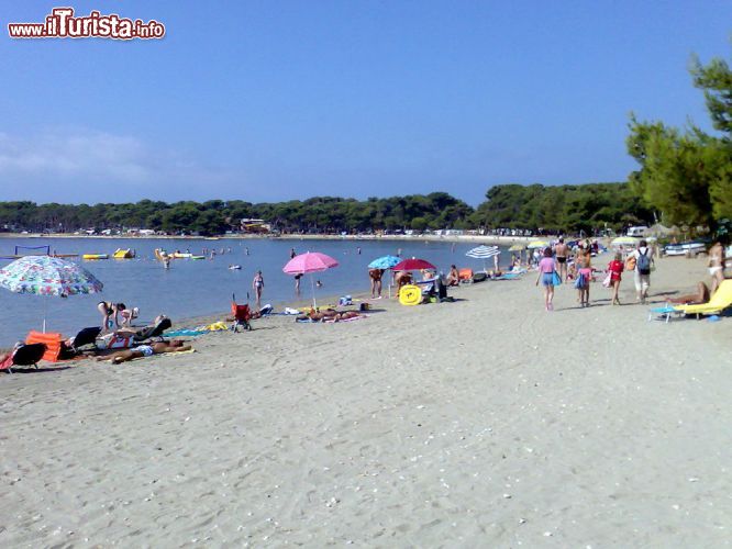 Immagine Spiaggia sabbiosa di Bijeca a Medulin, Istria (Croazia) - Questa foto splendida cattura un momento di pieno giorno, durante una giornata della bella stagione, che non può fare a meno di suggerire un'opera d'arte. In particolare si tratta del dipinto di Seurat il cui titolo richiamava alla calma e alla tranquillità della domenica. L'unica variante è data dalla terra: nell'immagine c'è la sabbia mentre nel quadro del padre del puntinismo c'è il prato. A parte questo, la vastità, l'ampiezza e la calma trapelano allo stesso identico modo. Quando il cielo è terso poi ancora di più, questo scenario croato estivo si presta a moltissime emozioni - © lero / Shutterstock.com