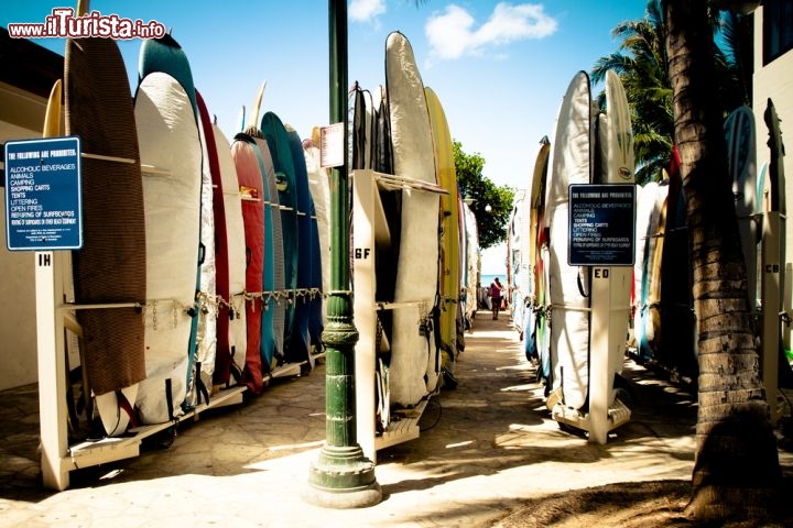 Immagine Surf in mostra sulla spiaggia di Waikiki. La famosa "beach" di Honolulu attira tantissimi appassionati della tavola, che considerano le Hawaii come la loro Mecca - © mdlart / Shutterstock.com