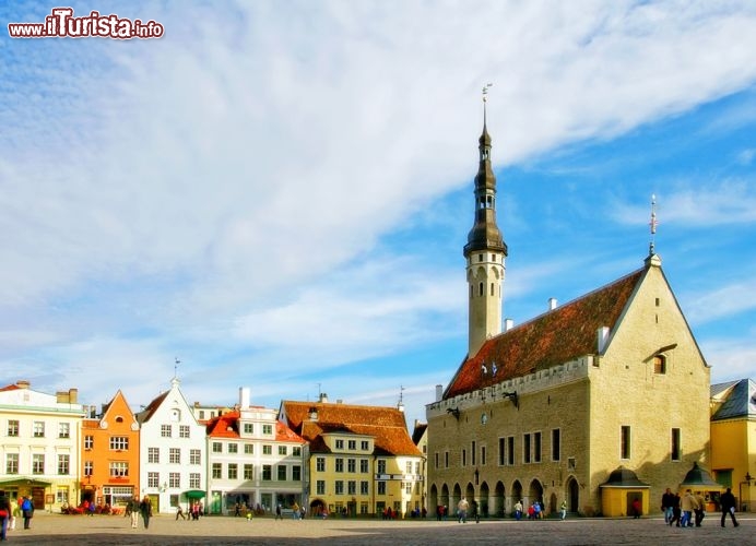 Immagine Il palazzo municipale di Tallinn (Estonia) si affaccia sulla Piazza del Municipio, nella Città Vecchia. Fu eccezionalmente costruito in stile gotico, diversamente dagli altri edifici del Nord Europa con la medesima funzione. La banderuola segnavento è nota come "il Vecchio Tommaso" ed è diventata simbolo della città - © maigi / Shutterstock.com