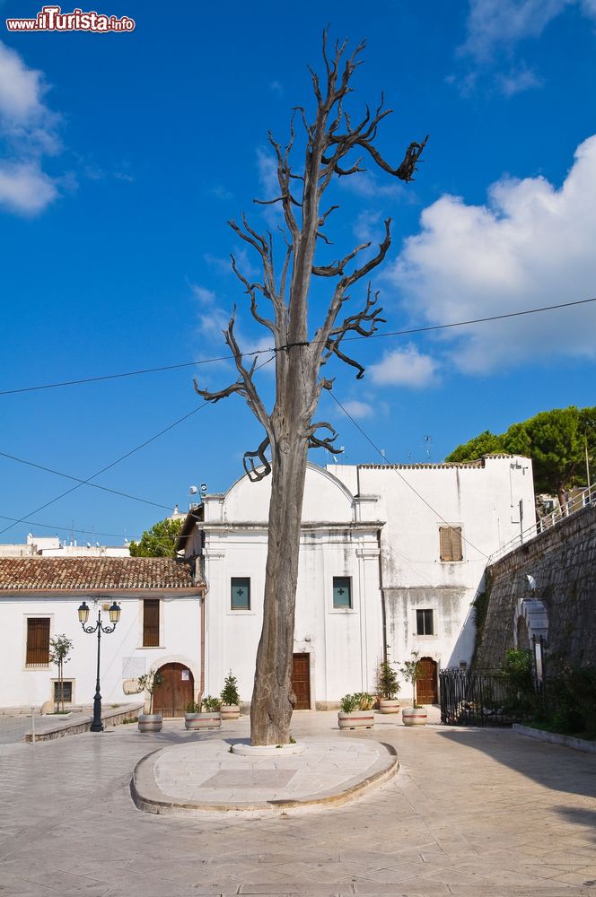 Immagine L'albero capovolto dal Diavolo a Ischitella, Puglia. La leggenda vuole che San Francesco di passaggio in questo luogo vi abbia piantato il suo bastone per terra: questo mise le radici e germogliò in uno splendido cipresso che esiste ancora oggi. Il diavolo richiamò un vento di tempesta e capovolse l'albero sacro che pur con le radici all'aria e le foglie sottoterra continuò a crescere.