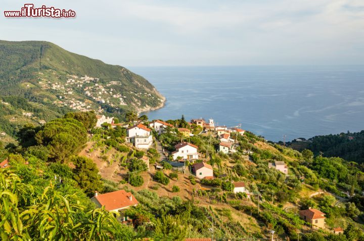 Immagine Una bella veduta dall'alto di Arma di Taggia, sulla riviera ligure. Questa graziosa frazione di Taggia è una rinomata località balneare.