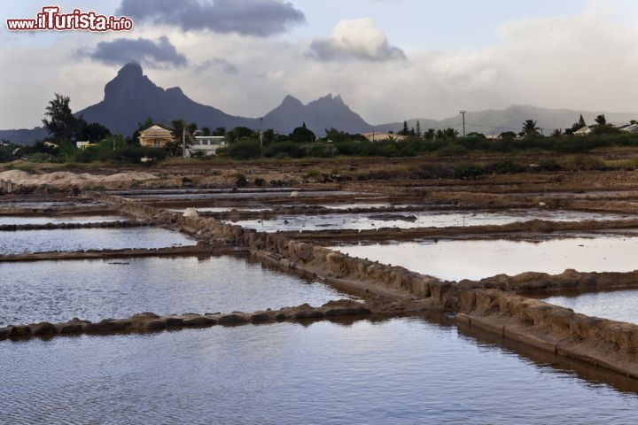 Immagine Azienda agricola del sale a Tamarin, Mauritius island - Tamarin ospita diverse saline, situate alle spalle del villaggio: assieme formano una specie di enorme reticolato in cui cielo e montagne si riflettono con grande suggestione creando bellissimi scenari fotografici © Jan Krcmar / Shutterstock.com