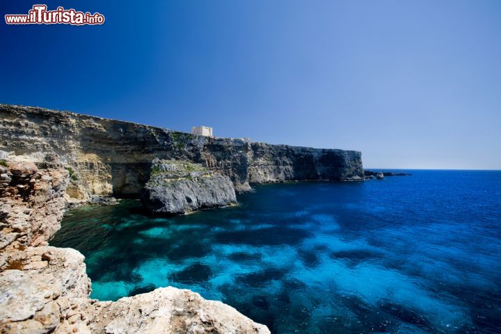 Immagine Santa Maria bay a Comino, Malta  - E' considerata la seconda miglior spiaggia di Comino dopo quella di Blue Lagoon da cui dista poco meno di 20 minuti a piedi. Meno affollata rispetto all'altra, Santa Maria bay è perfetta per chi ama luoghi più tranquilli e riservati. E' facilmente raggiungibile prendendo un traghetto sia da Malta che da Gozo © Tyler Olson / Shutterstock.com