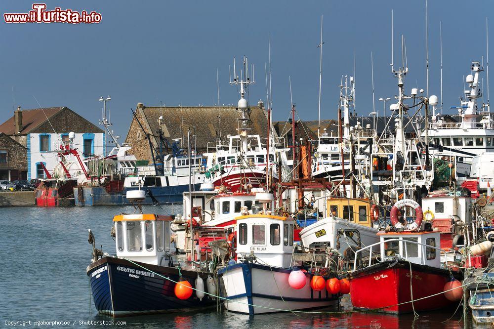 Immagine Barche di Pescatori nella baia di Howth in Irlanda  - © pgaborphotos / Shutterstock.com