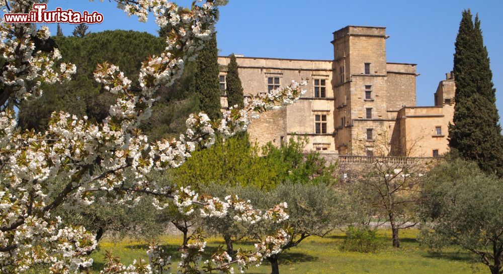 Immagine Il castello di Lourmarin (Francia) in primavera, con la fioritura degli alberi della campagna che lo circonda - foto © Fondation Robert Laurent Vibert