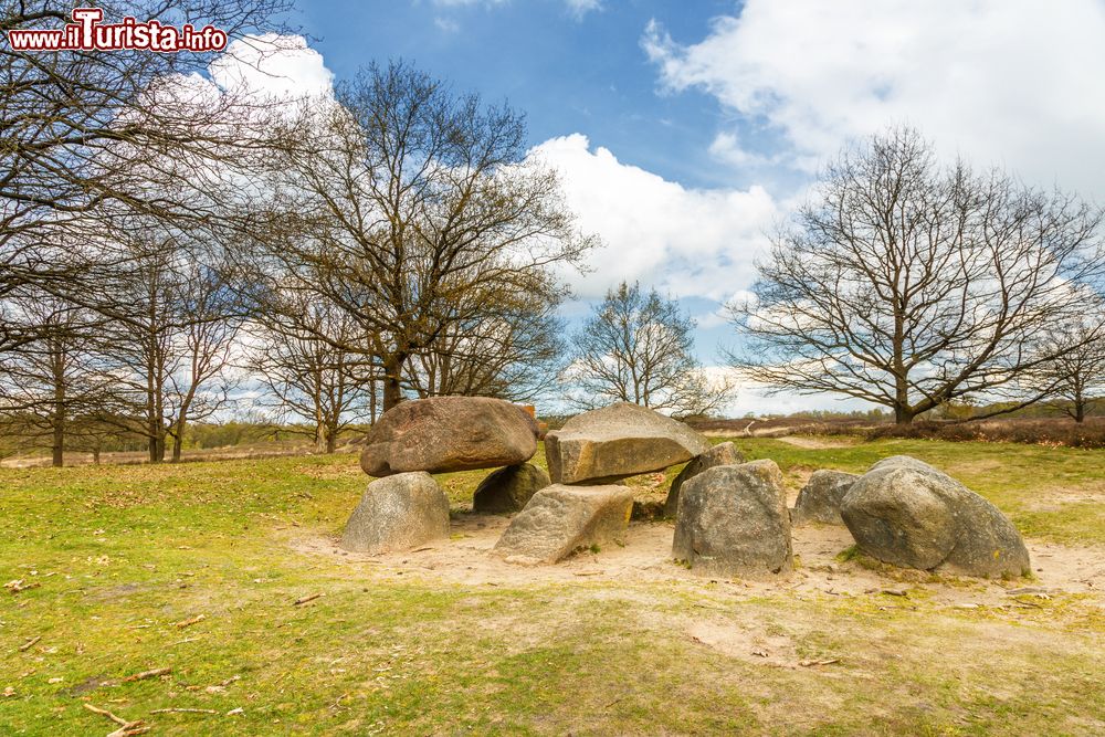 Immagine Il Dolmen D10 tra le quercie nella provincia olandese della Drenthe.