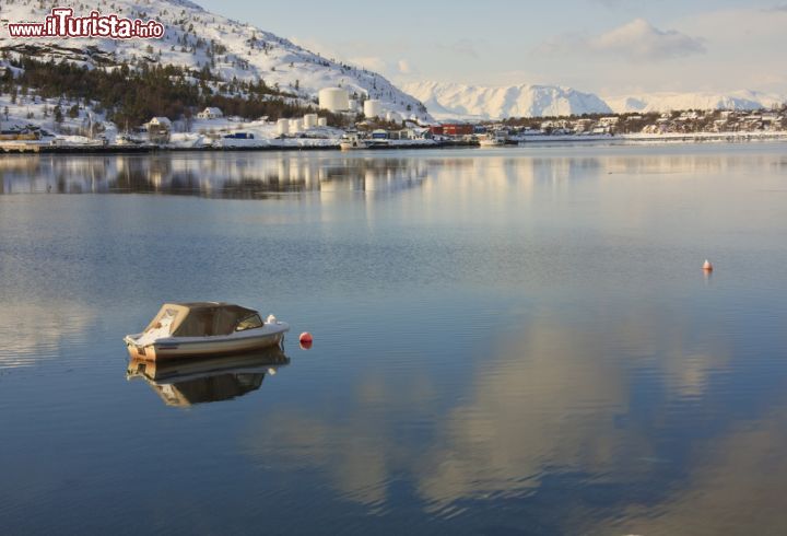 Immagine Scavati dal ghiaccio, dalla pietra e dalla roccia durante l'era glaciale, i fiordi sono un vero e proprio capolavoro della natura. Grazie ad un clima mite che ne impedisce il congelamento, i fiordi norvegesi sono popolati da foche, focene e varietà di pesci e solcati da aquile e altre specie di uccelli. Definita una delle migliori destinazioni incontaminate al mondo, la Norvegia dei fiordi è uno dei siti Patrimonio Unesco - © Sue Leonard Photography / Shutterstock.com