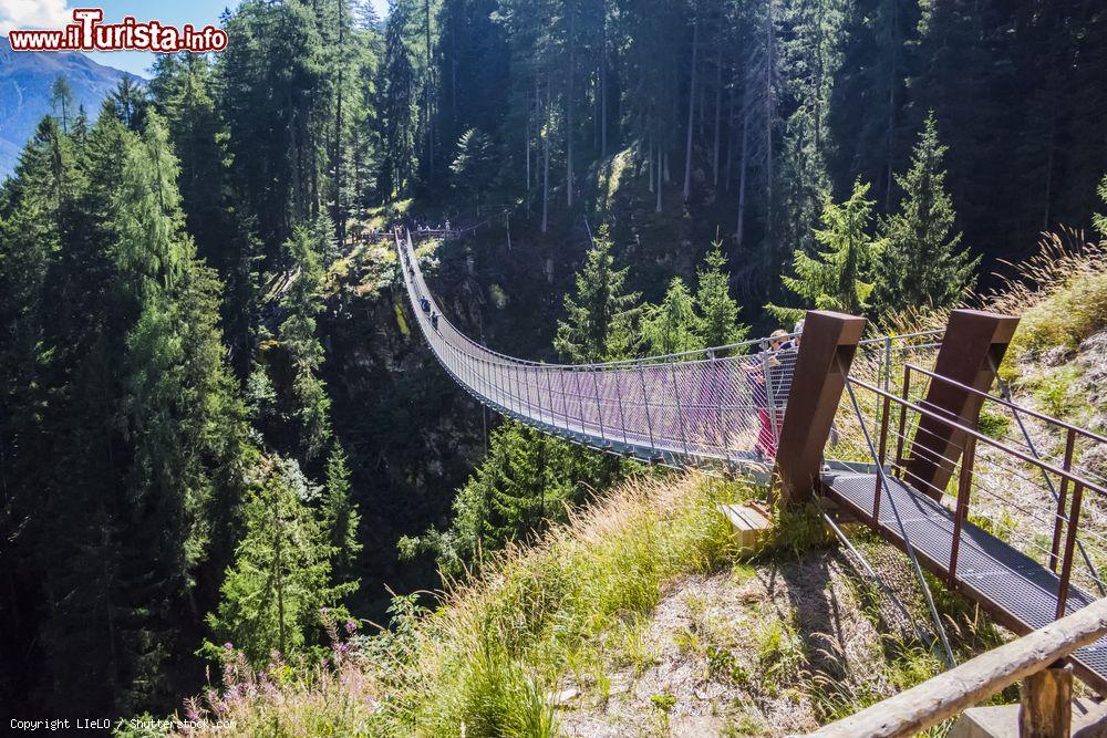 Immagine Il grande ponte tibetano della Val di Rabbi in Trentino - © LIeLO / Shutterstock.com