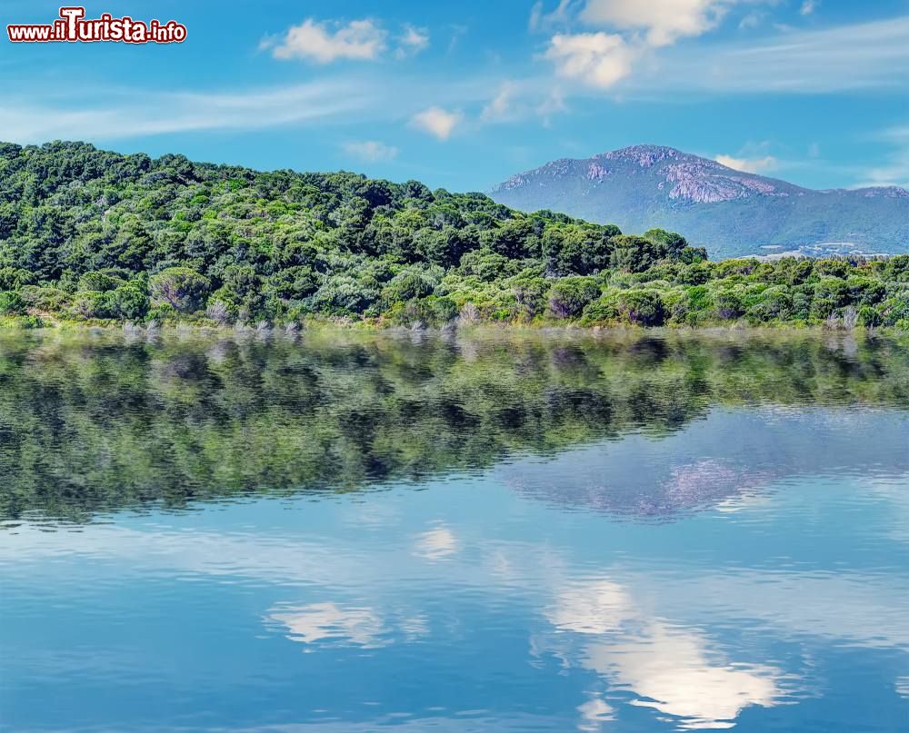 Immagine Il lago Baratz è il solo lago naturale d'acqua dolce di tutta la Sardegna.