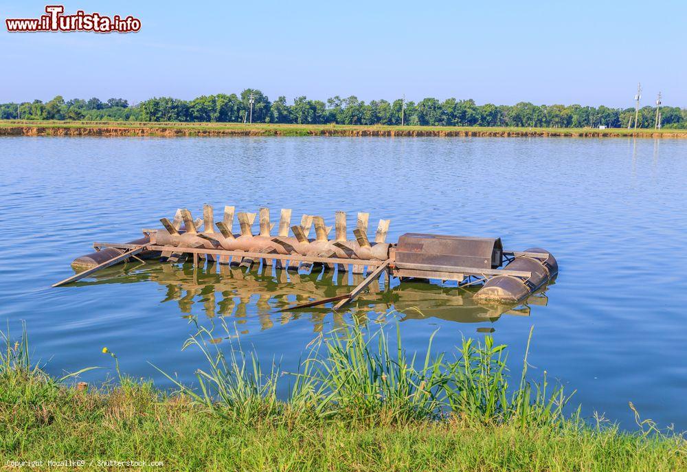 Immagine Il paesaggio piatto di Selma e un allevamento ittico dell'Alabama - © Mccallk69 / Shutterstock.com