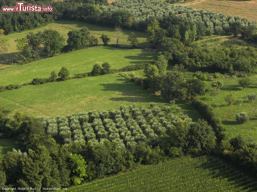 Immagine Il Parco Naturale di Manerba del Garda come si può ammirare dalla Rocca di Manerba - © Michele Buzzi / Shutterstock.com