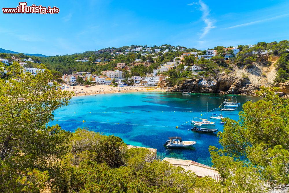 Immagine La baia di Cala Vadella, spiaggia spettacolare ad Ibiza, Baleari