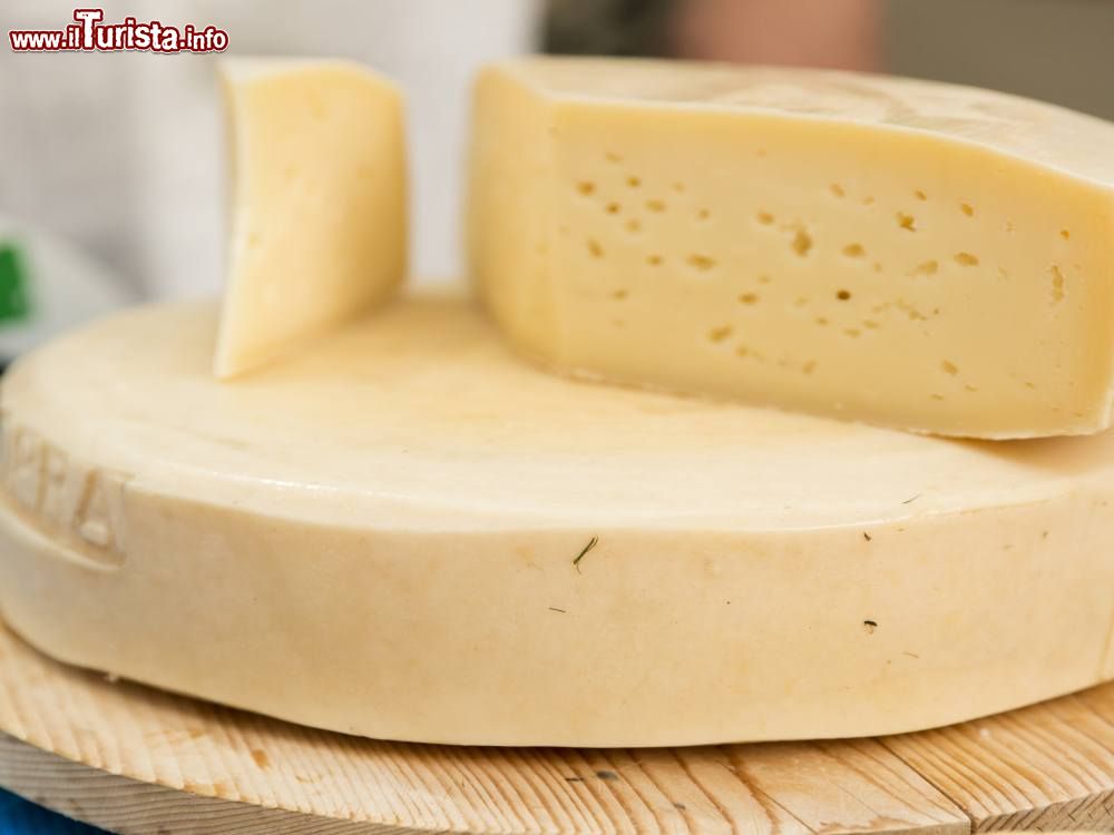 Immagine La Festa del Formaggio a Gemona del Friuli