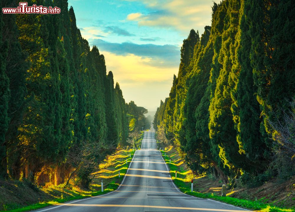 Immagine La mole imponente del Castello di Bolgheri in Toscana