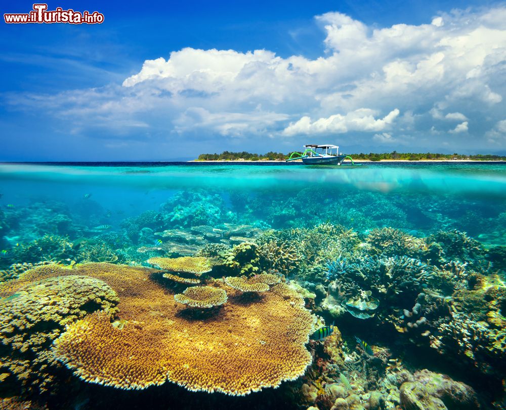 Immagine La spettacolare barriera corallina con l'isola di Gili Meno sullo sfondo, Indonesia.