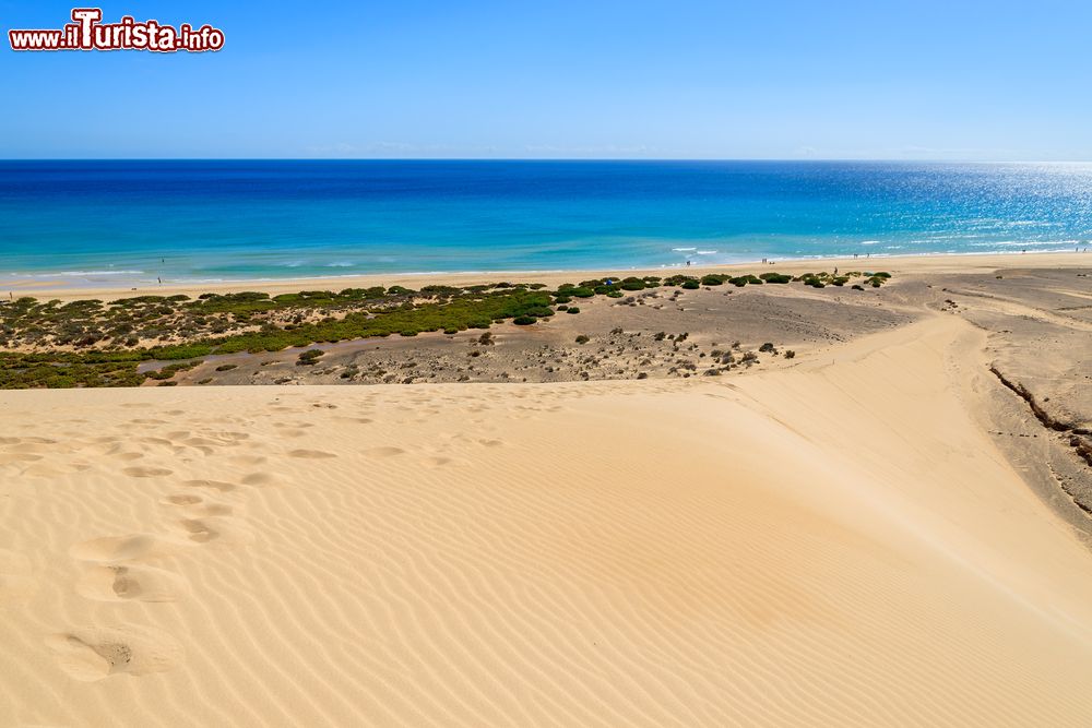 Immagine Fotografia della spiaggia di Sotavento a Fuerteventura, Canarie, Spagna. Lunga quasi 20 km in tutta la sua estensione, Sotavento è un vero incanto anche per via delle piscine naturali che ospita. Inizia a sud di Costa Calma e raggiunge Morro Jable.